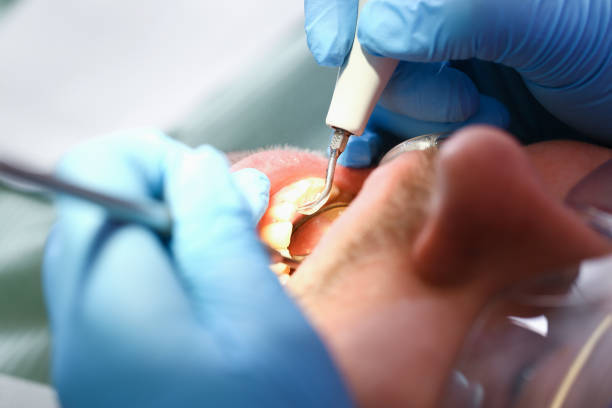 Best Urgent Dental Care  in Alma, MI